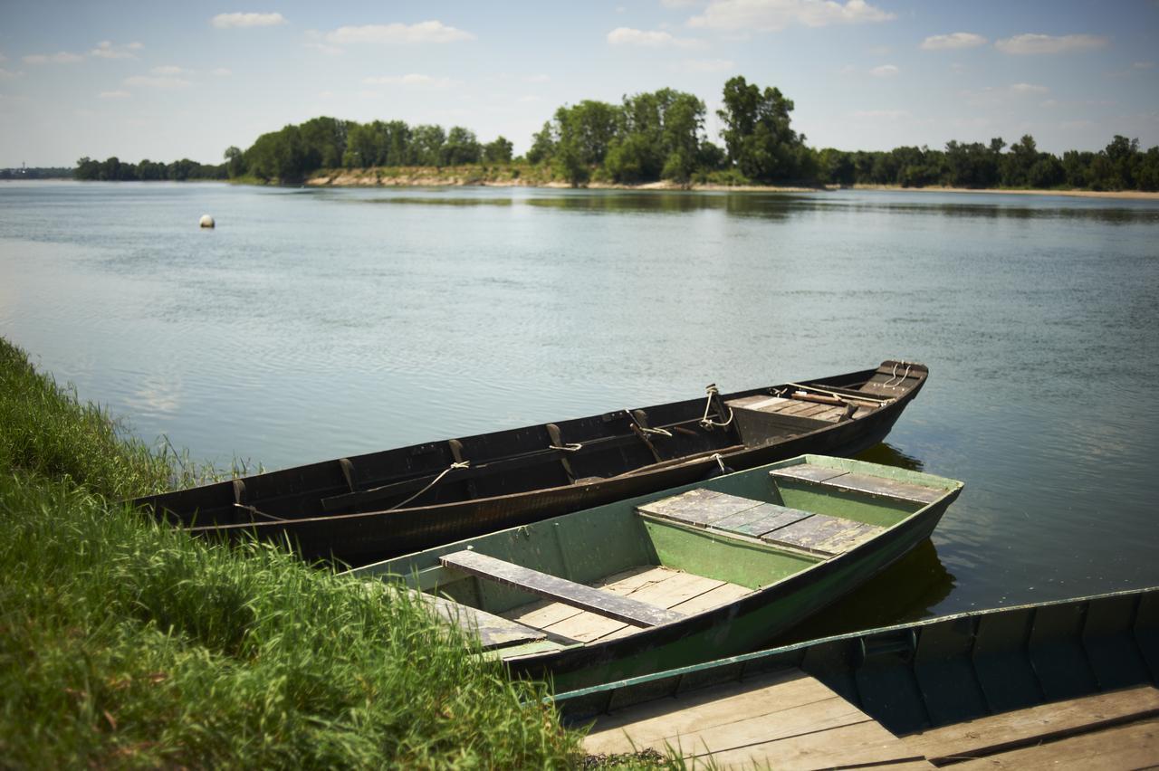 Auberge De La Loire Montjean-sur-Loire Εξωτερικό φωτογραφία